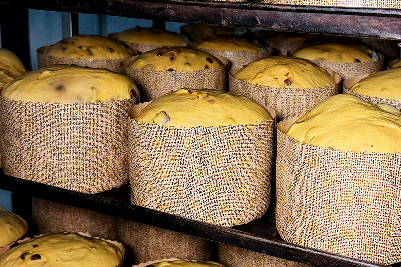 Massa madre: entenda seu papel na elaboração do panetone